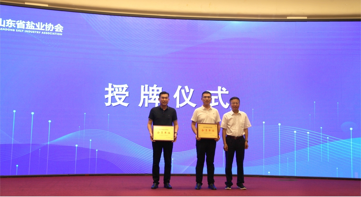喜讯频传！环球软件两项创新成果荣获2025年度山东盐业科学技术奖