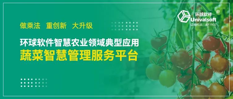 做乘法 重创新 大升级——看环球软件如何助力蔬菜产业链转型升级