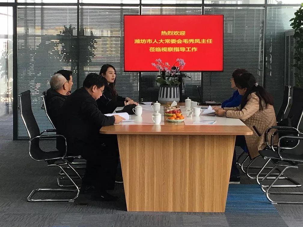 潍坊市人大常委会副主任毛秀凤一行莅临环球软件潍坊分公司调研指导工作