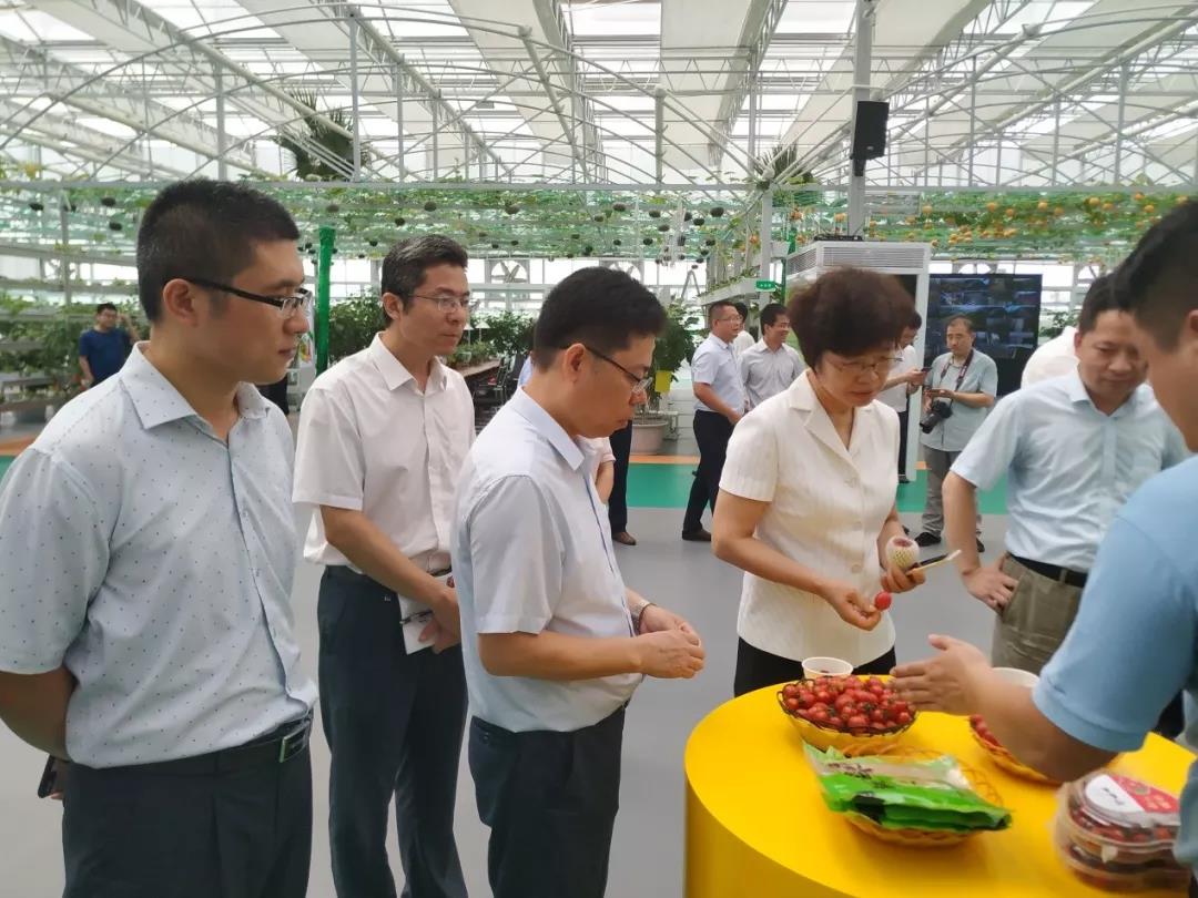 山东省大数据局党组书记、局长马越男视察环球软件建设的智慧农业园区