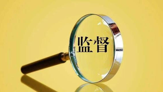 准确把握巡视工作政治方向 精准有效开展政治监督